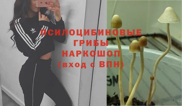 спиды Лабытнанги