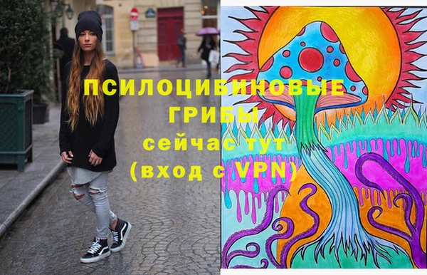 эйфоретик Ладушкин