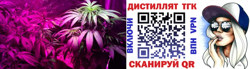 ТГК вейп с тгк  kraken ТОР  Жирновск 